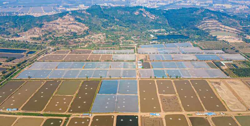 600 亩省级示范基地